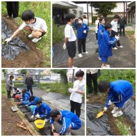 園芸活動の様子