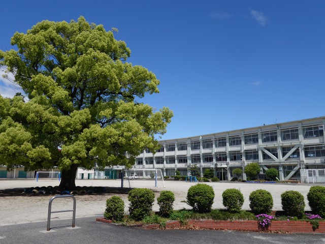 DSC05391.JPG