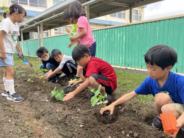 2-2苗植え１.jpg