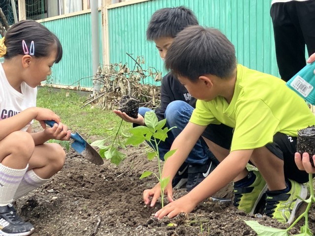 2-2苗植え２.jpg