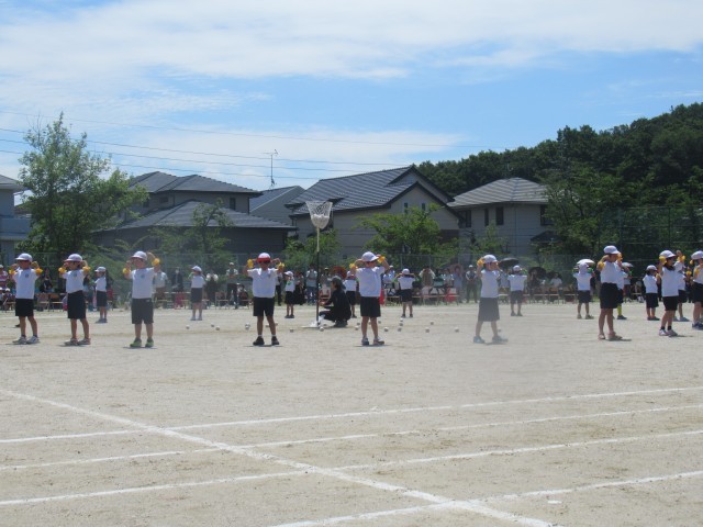 運動会（玉入れダンス）