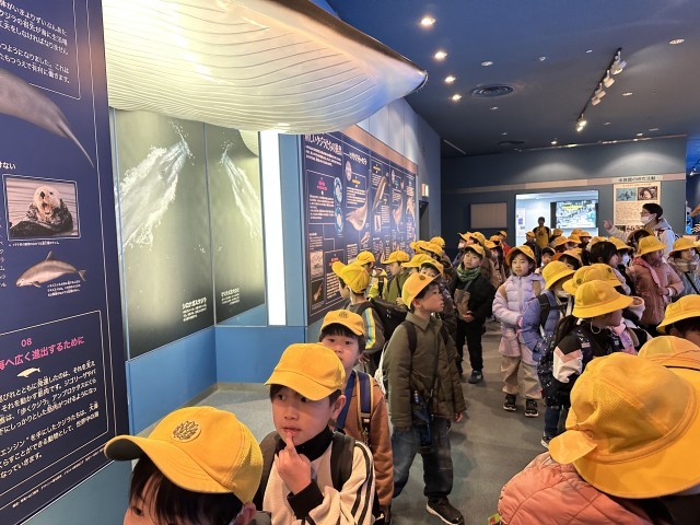 校外学習（名古屋港水族館）