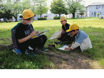 又前公園春みつけ
