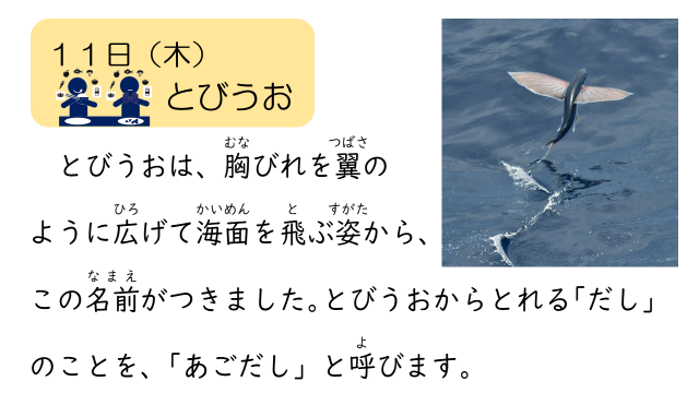 11日（木） 飛び魚.PNG