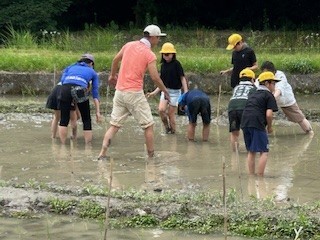 交代でどんどん植えていきます